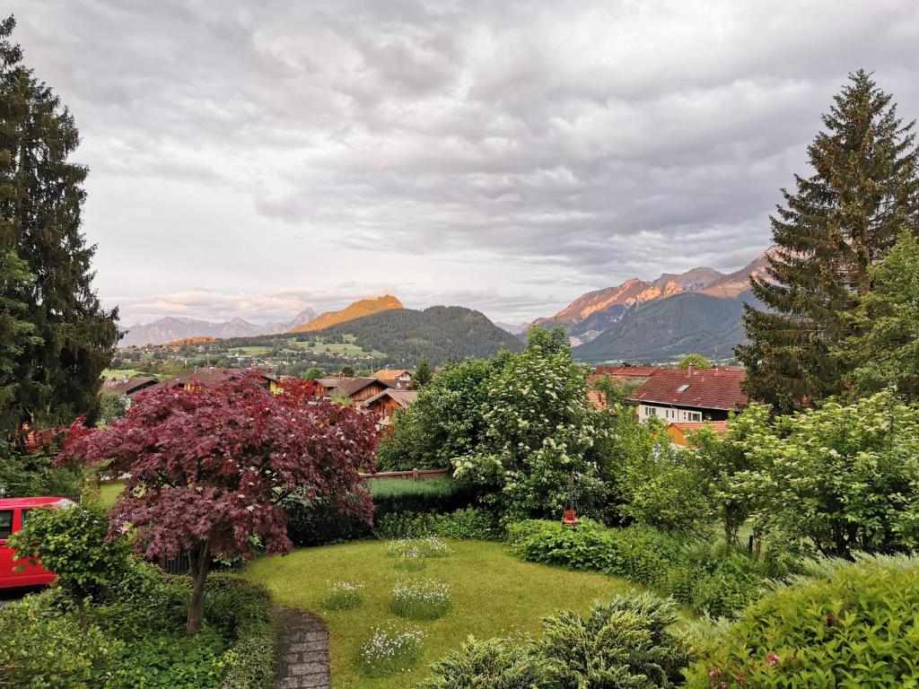 Alpine garden view